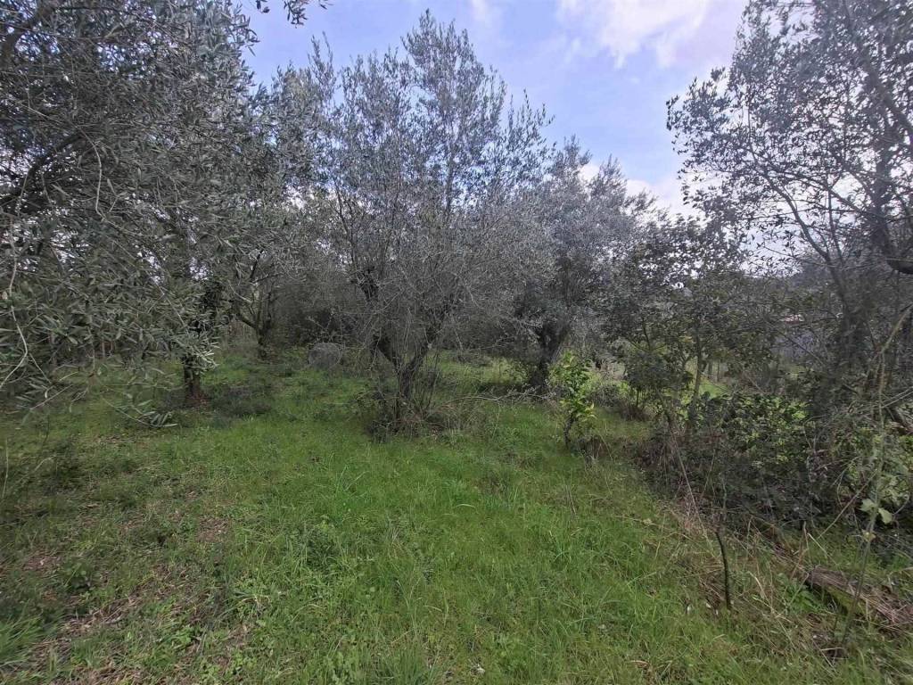 Terreno a Genzano di roma in VIA LANDI - Foto 3