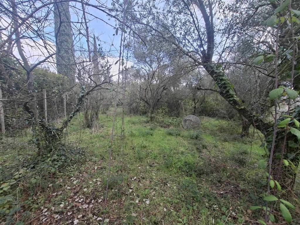 Terreno a Genzano di roma in VIA LANDI - Foto 4