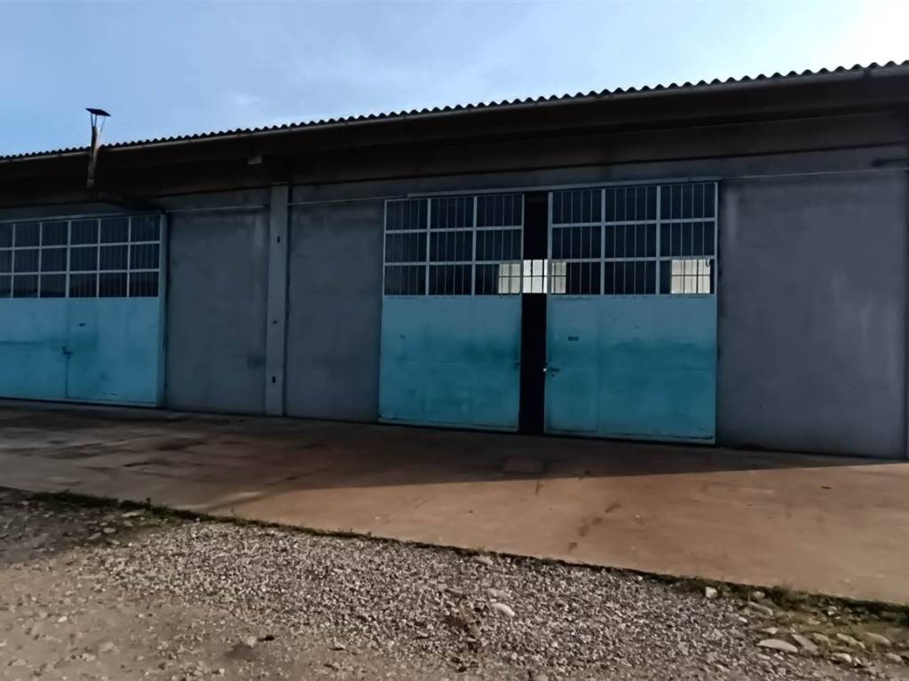 Terreno a Suno - Foto 5