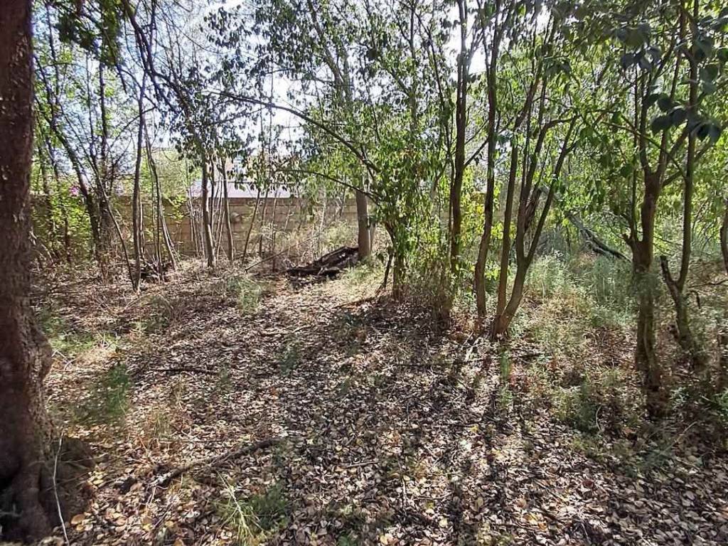 Casa indipendente a Iglesias - Foto 4