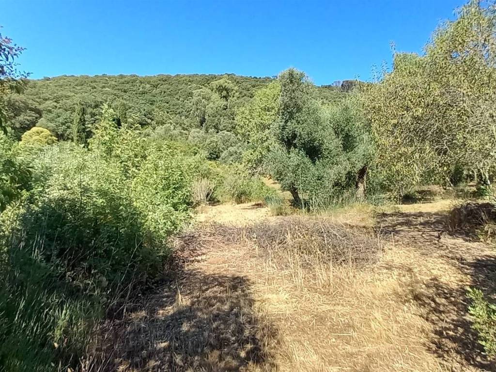 Rustico / casale a Iglesias - Foto 4