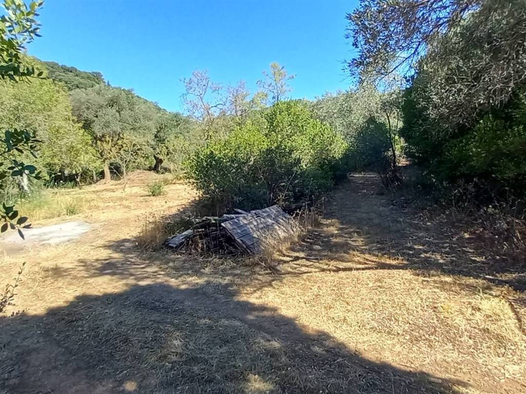 Rustico / casale a Iglesias - Foto 5