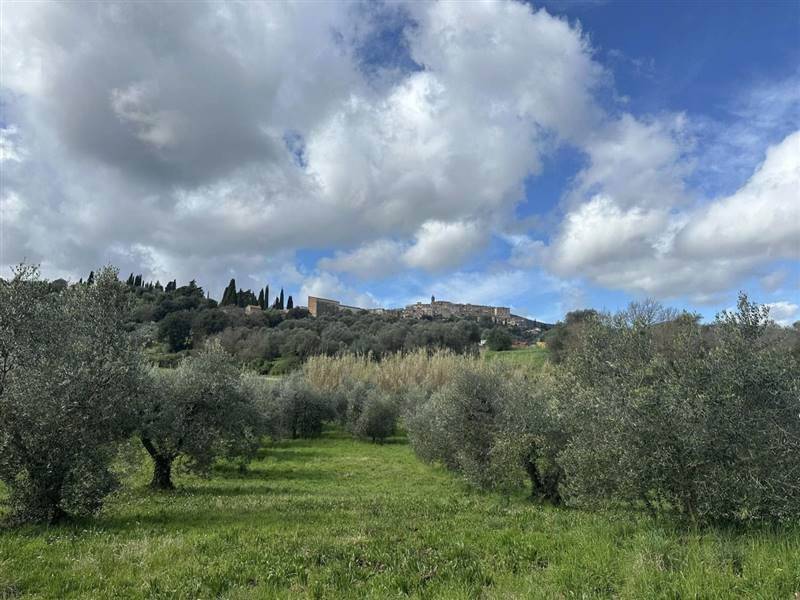 Terreno a Gavorrano - Foto 3