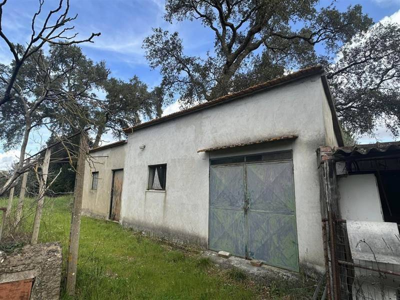 Terreno a Gavorrano - Foto 4