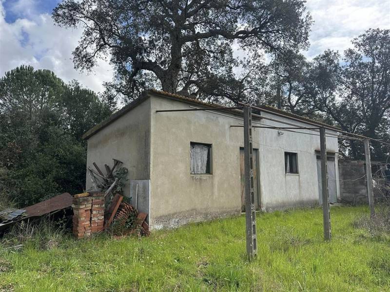 Terreno a Gavorrano - Foto 5