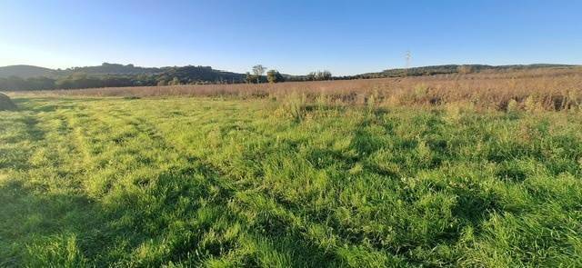 Terreno a Massa marittima - Foto 2