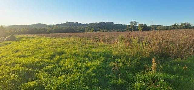 Terreno a Massa marittima - Foto 3