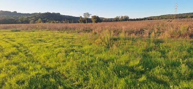 Terreno a Massa marittima - Foto 4