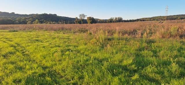 Terreno a Massa marittima - Foto 5