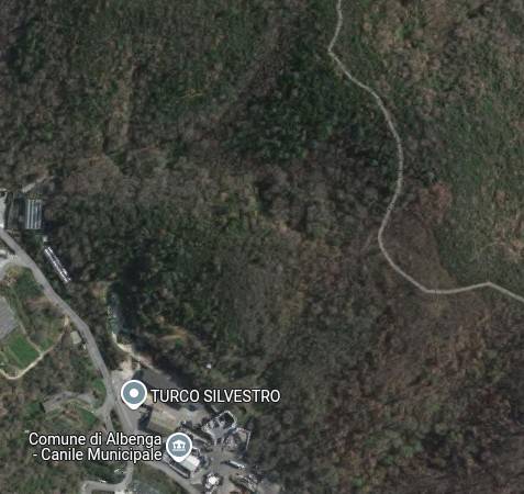 Villa a Albenga in Reg. Enesi - Foto 4