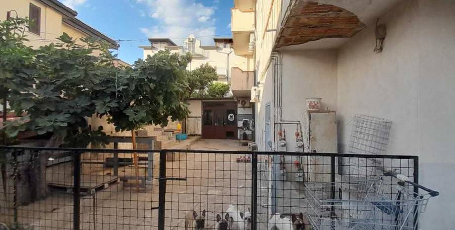 Appartamento a Satriano in Gioacchino da Fiore - Foto 5