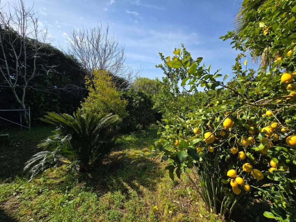 Villa a Sant'agata di militello in Contrada San Giuseppe, 67 - Foto 3