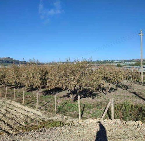 Terreno a Serradifalco - Foto 3