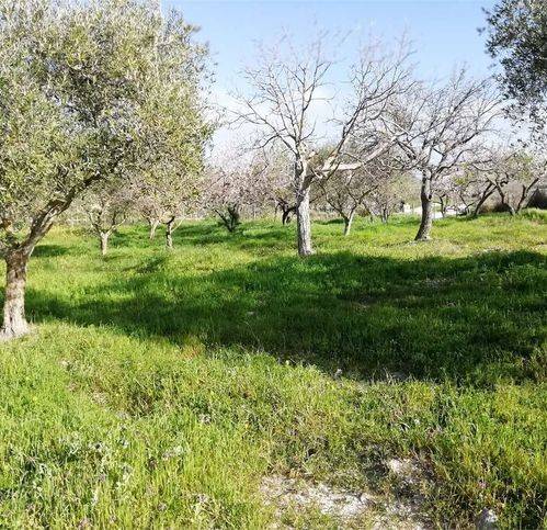 Terreno a San cataldo in Strada Provinciale 33 - Foto 2