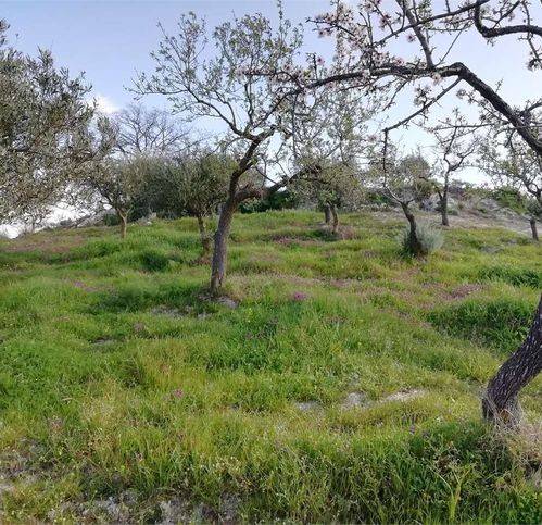 Terreno a San cataldo in Strada Provinciale 33 - Foto 4