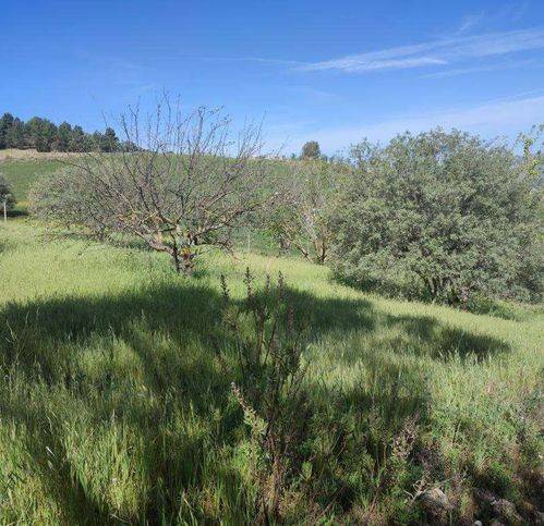 Terreno a Caltanissetta in Sp42 - Foto 4