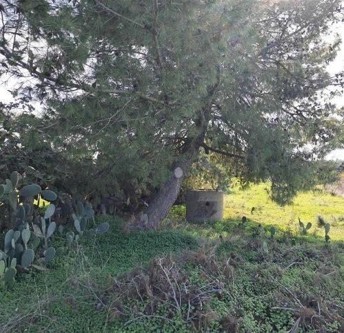 Terreno a Carbonia - Foto 2