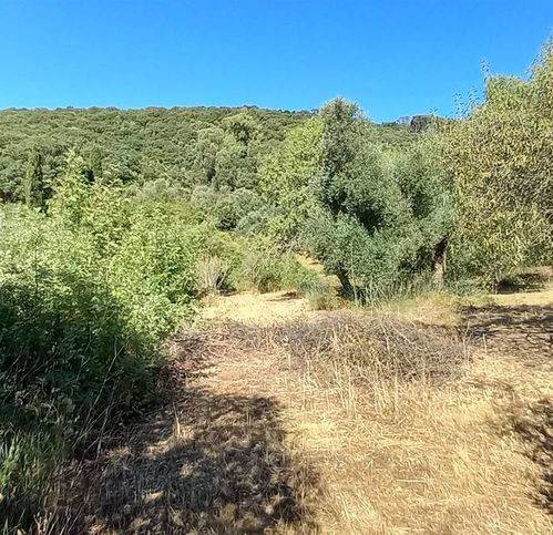 Rustico / casale a Iglesias - Foto 4