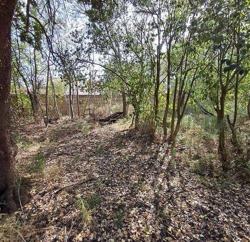 Villa a Iglesias - Foto 4