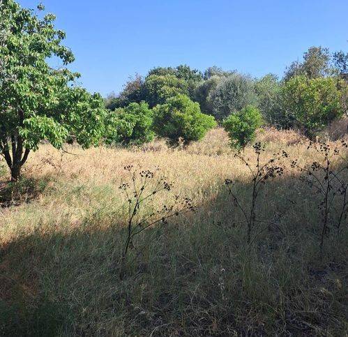 Villa a Iglesias - Foto 5