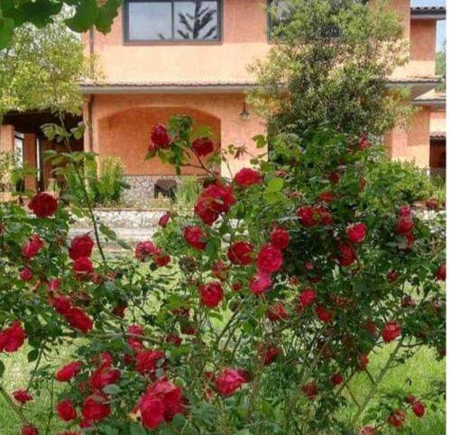 Villa a Olevano romano in Località Mostaccino - Foto 2