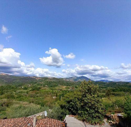 Casa indipendente a Olevano romano - Foto 5