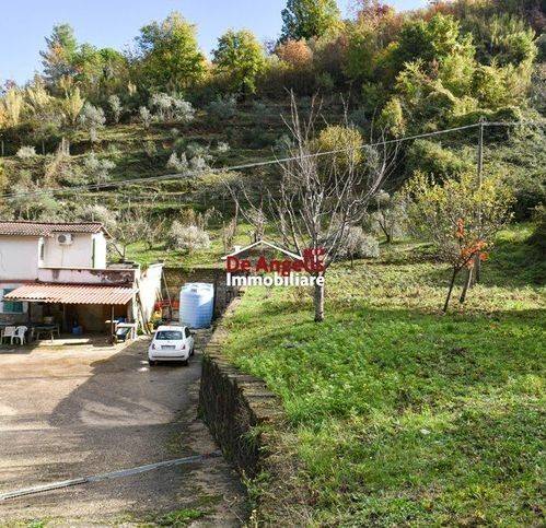 Villa a Olevano romano in Via Ara Della Forca - Foto 2