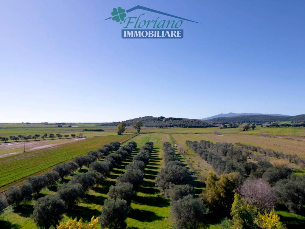 Rustico / casale a Capalbio in Strada del Giardino - Foto 2