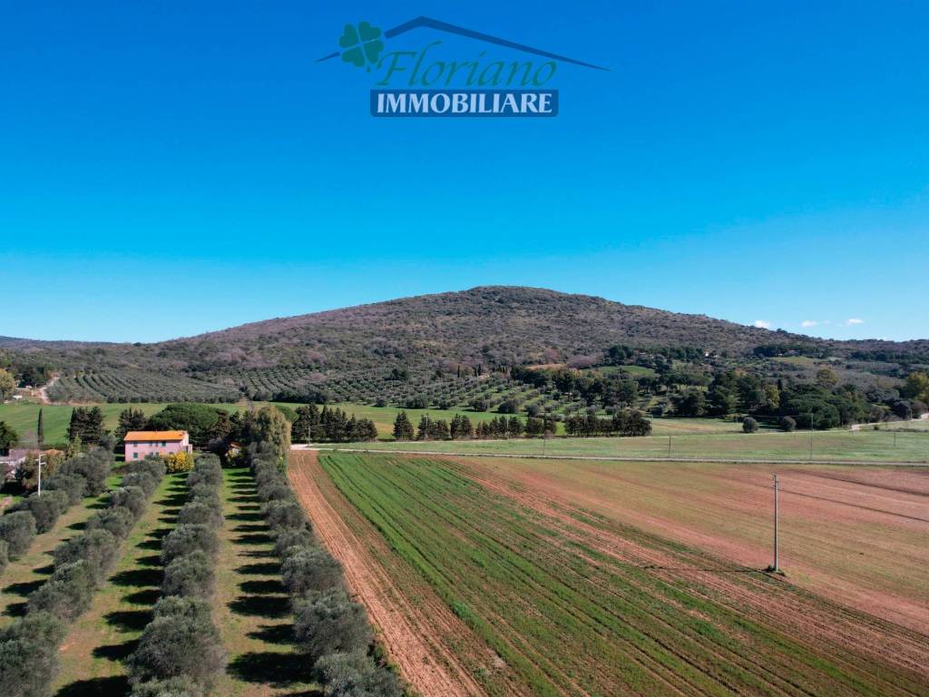 Rustico / casale a Capalbio in Strada del Giardino - Foto 5