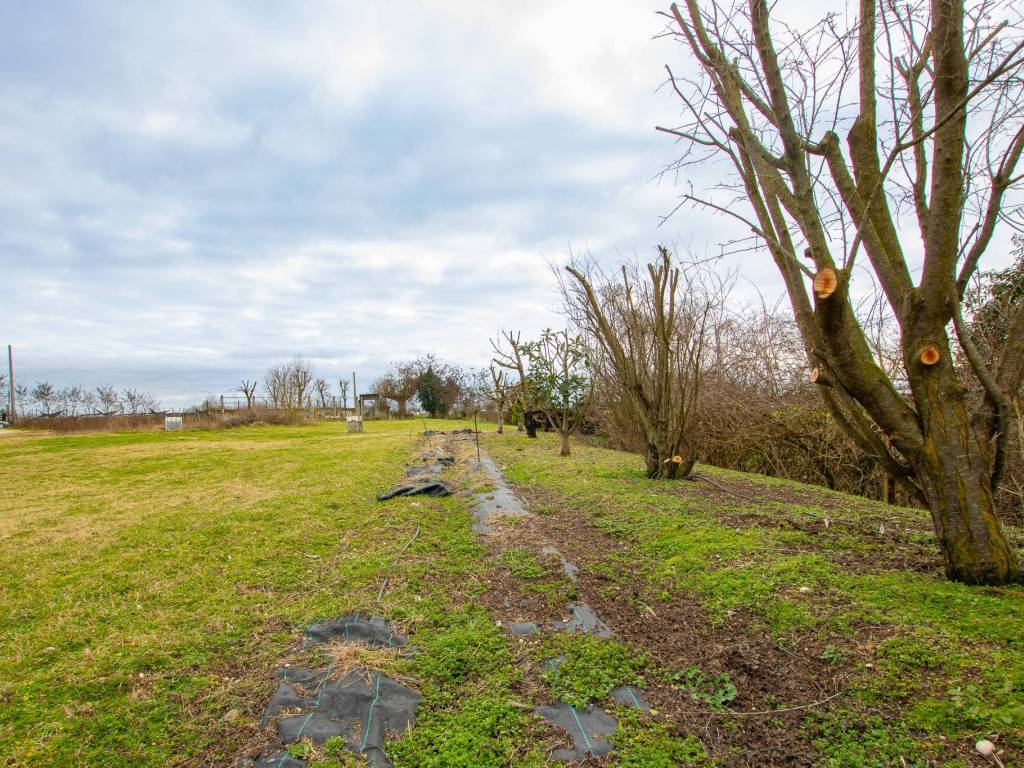 Terreno a Buttapietra in Via Isola della Scala, 72 - Foto 5