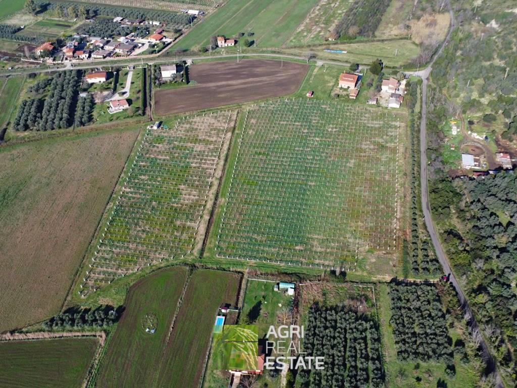 Terreno a Sermoneta in Strada Provinciale Consolare Prima - Foto 2