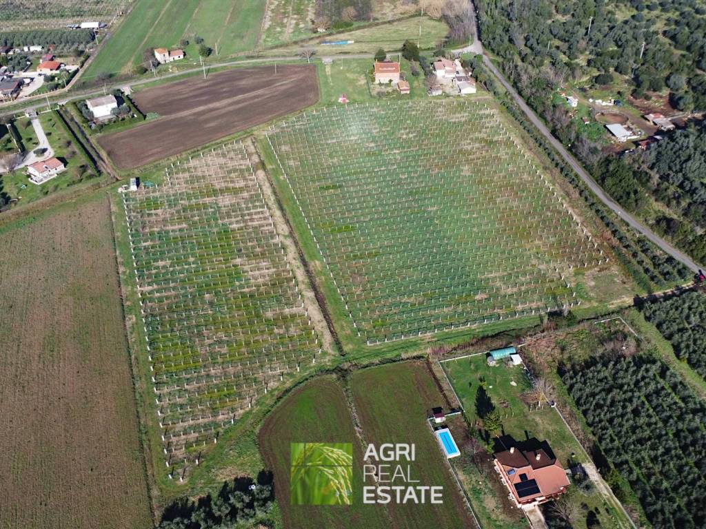 Terreno a Sermoneta in Strada Provinciale Consolare Prima - Foto 3