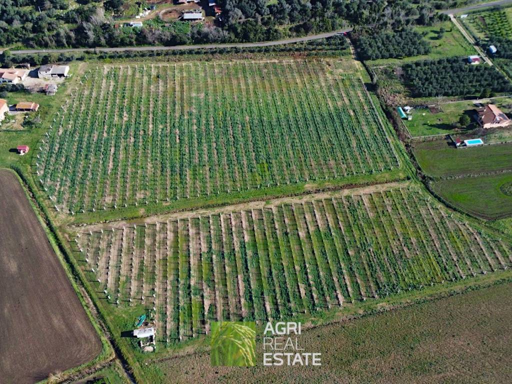 Terreno a Sermoneta in Strada Provinciale Consolare Prima - Foto 4