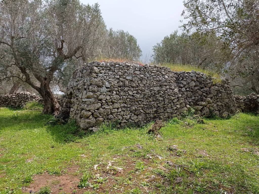 Terreno a Andrano in via vicinale andrano-tricase - Foto 4