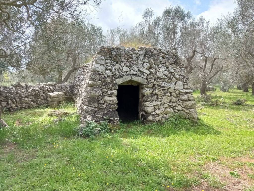 Terreno a Andrano in via vicinale andrano-tricase - Foto 5