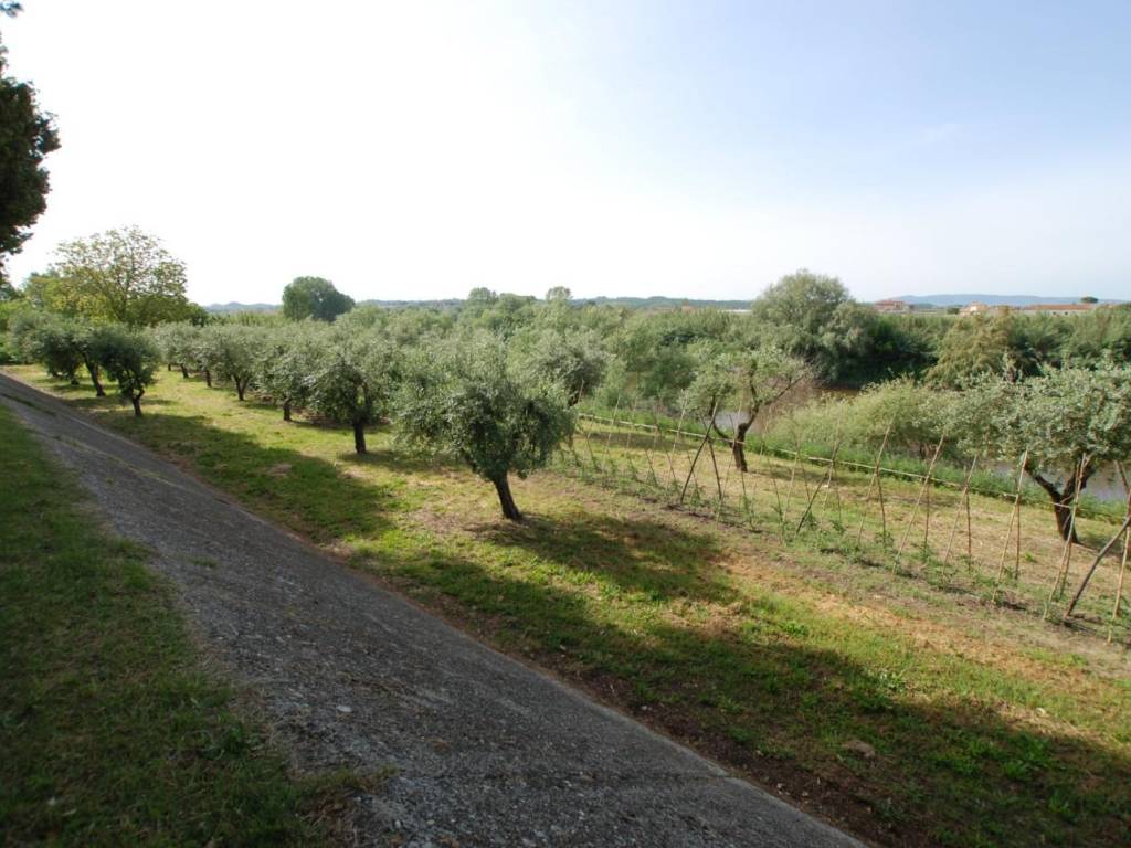 Villa a Santa maria a monte - Foto 5