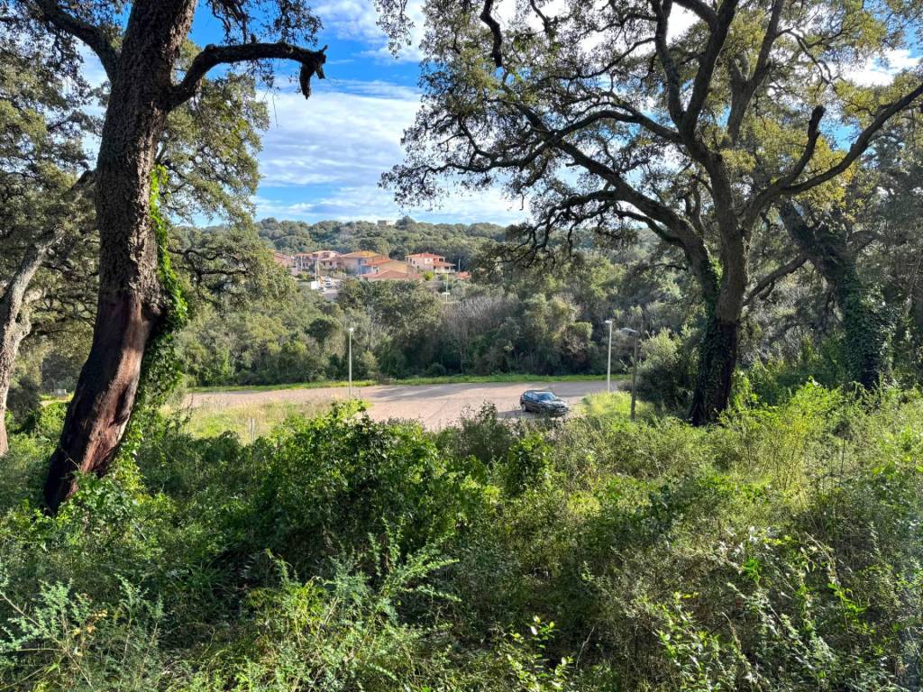 Terreno a Luogosanto in CAPRERA, 20 - Foto 4
