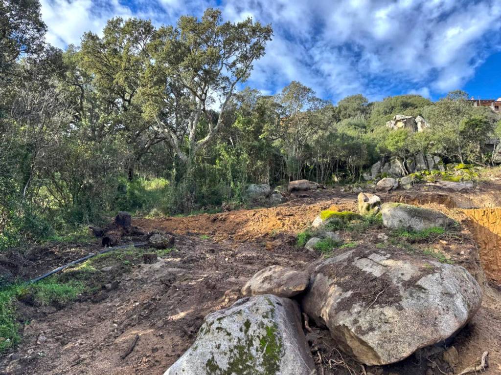 Terreno a Luogosanto in CAPRERA, 20 - Foto 5