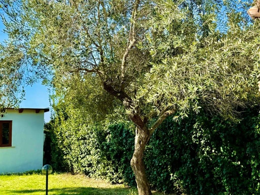 Villa a Terracina in Residenza Punta del Sole - Foto 4