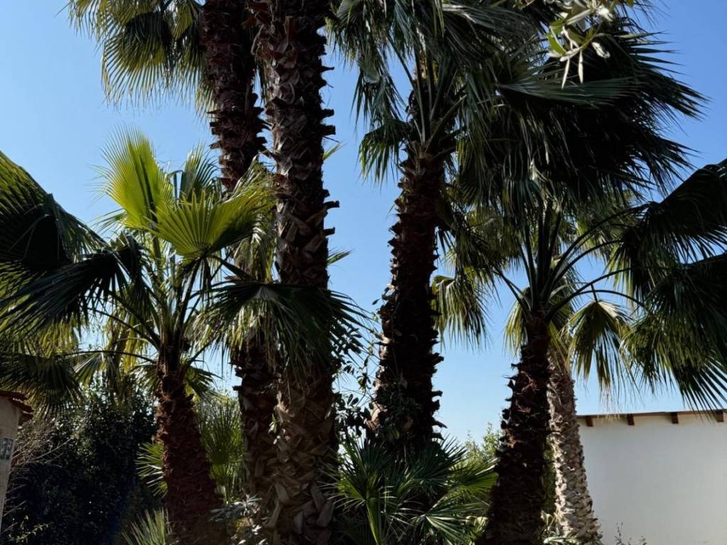 Villa a Terracina in Residenza Punta del Sole - Foto 5