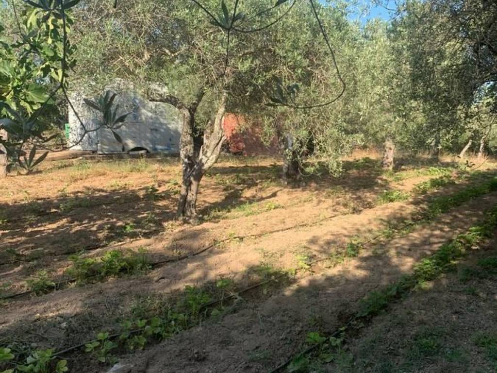 Terreno a Sassari in Via Budapest, 42 - Foto 3