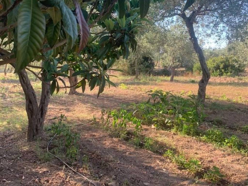 Terreno a Sassari in Via Budapest, 42 - Foto 4