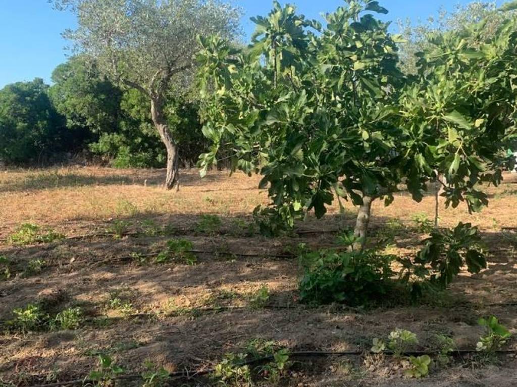 Terreno a Sassari in Via Budapest, 42 - Foto 5