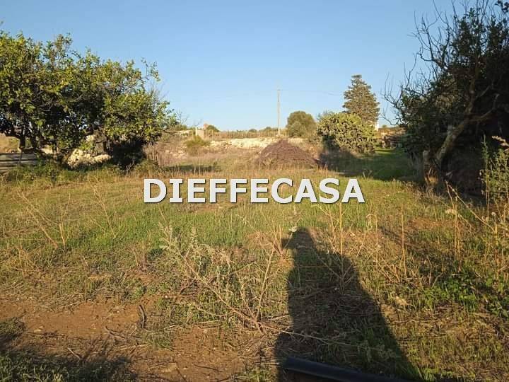 Rustico / casale a Marsala in Contrada Casazze - Foto 2