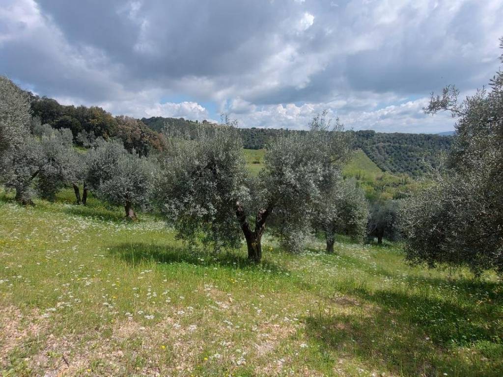 Terreno a Roccastrada in Strada Provinciale Terzo - Foto 3