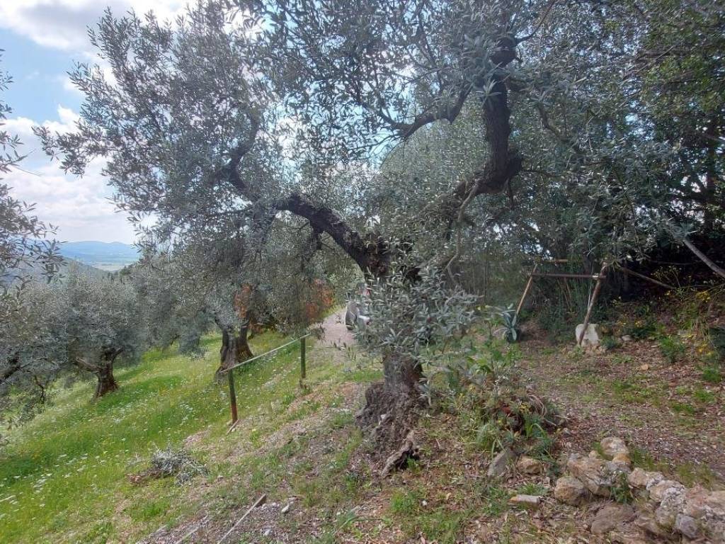 Terreno a Roccastrada in Strada Provinciale Terzo - Foto 5