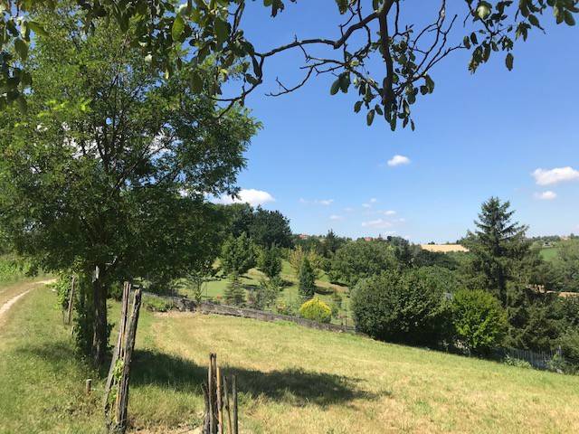 Terreno a Pecetto di valenza - Foto 2