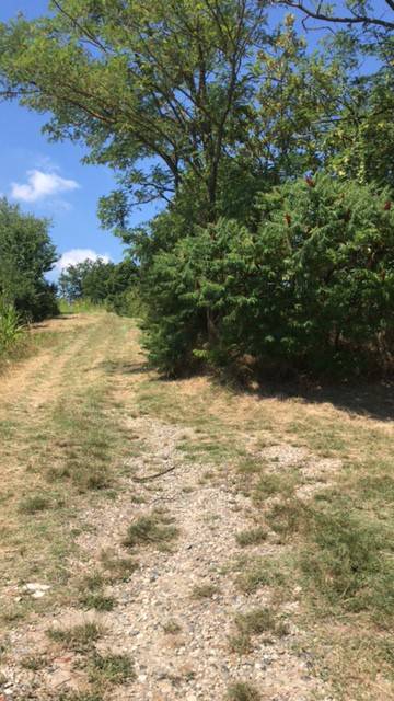 Terreno a Pecetto di valenza - Foto 3