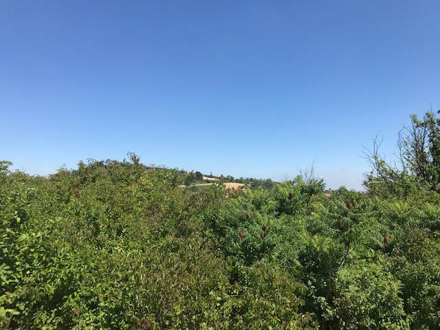 Terreno a Pecetto di valenza - Foto 5