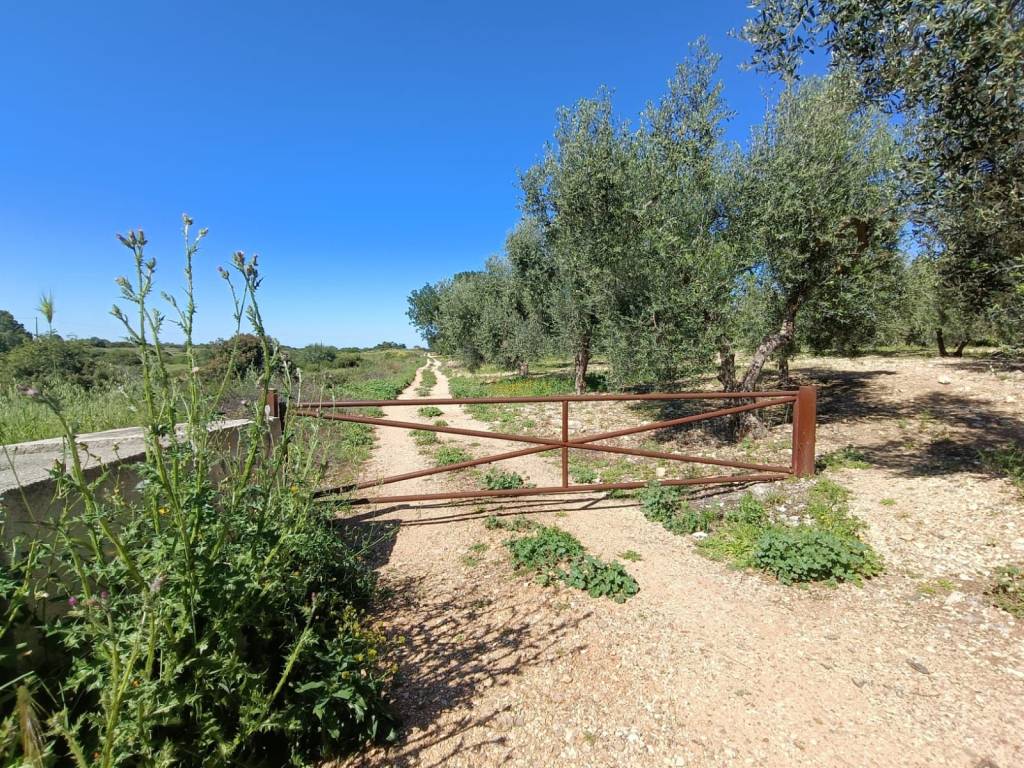 Terreno a Modugno in Contrada Macchia Fracida - Foto 2